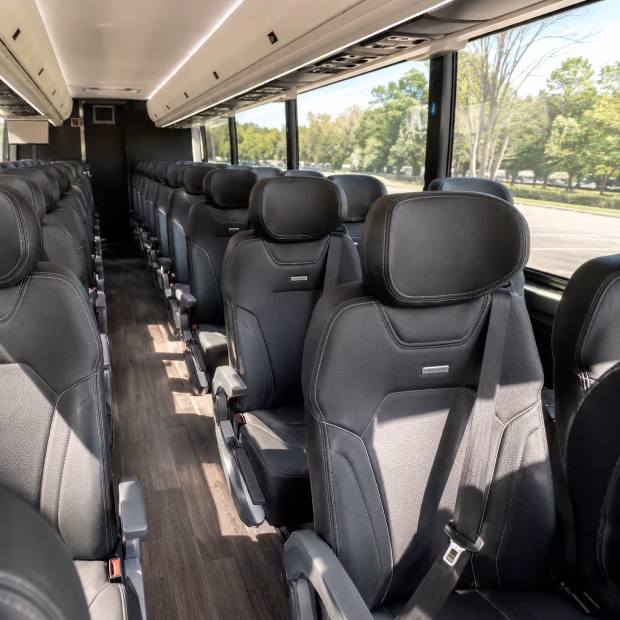 Arlington School Event Transportation party bus exterior