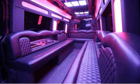 Sugar Land 14 Passenger Sprinter Bus Interior