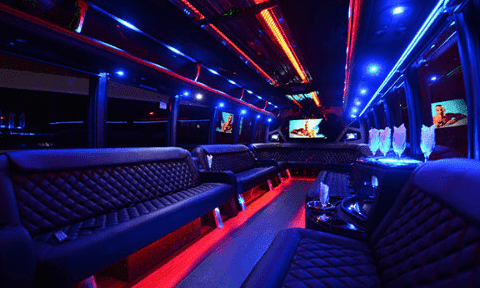 Sugar Land 30 Passenger Party Bus Black Interior